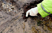 Excavation of a Late Bronze Age trackway, Oystermouth Bay by Arfordir volunteers