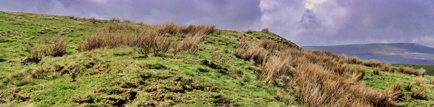 a cross ridge dyke running along scarp of hillside
