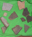 Recovered sherds of cooking pot scratched up by the pheasants