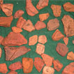 Recovered pieces of Roman brick and tile scratched up by the pheasants