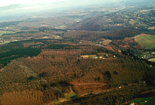 Aerial photograph over Tintern ancient woodland showing scattered enclosures and evidence of encroachment.