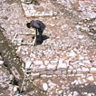 The Roman villa at Llandough during excavation.  Behind the figure to the right is the bath suite, with the excavated plunge bath.
